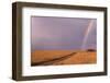 Rainbow on the Savanna-DLILLC-Framed Photographic Print