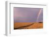 Rainbow on the Savanna-DLILLC-Framed Photographic Print