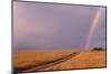 Rainbow on the Savanna-DLILLC-Mounted Photographic Print