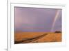 Rainbow on the Savanna-DLILLC-Framed Photographic Print