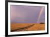 Rainbow on the Savanna-DLILLC-Framed Photographic Print