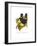 Rainbow or Keel Billed Toucan-John Gould-Framed Art Print