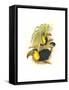 Rainbow or Keel Billed Toucan-John Gould-Framed Stretched Canvas