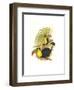 Rainbow or Keel Billed Toucan-John Gould-Framed Premium Giclee Print