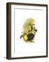 Rainbow or Keel Billed Toucan-John Gould-Framed Art Print