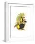 Rainbow or Keel Billed Toucan-John Gould-Framed Art Print