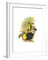 Rainbow or Keel Billed Toucan-John Gould-Framed Art Print