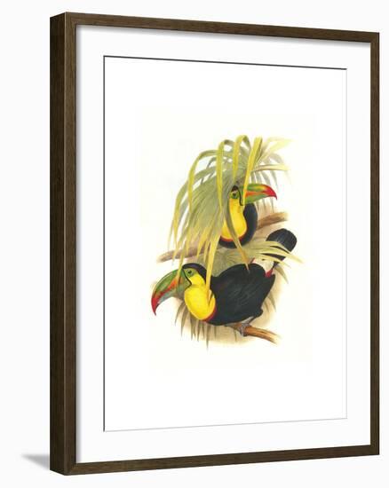 Rainbow or Keel Billed Toucan-John Gould-Framed Art Print