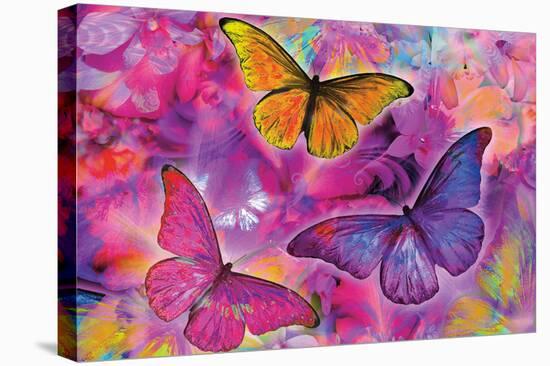 Rainbow Orchid Morpheus-Alixandra Mullins-Stretched Canvas