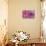 Rainbow Orchid Morpheus-Alixandra Mullins-Stretched Canvas displayed on a wall
