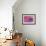 Rainbow Orchid Morpheus-Alixandra Mullins-Framed Art Print displayed on a wall