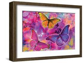 Rainbow Orchid Morpheus-Alixandra Mullins-Framed Art Print