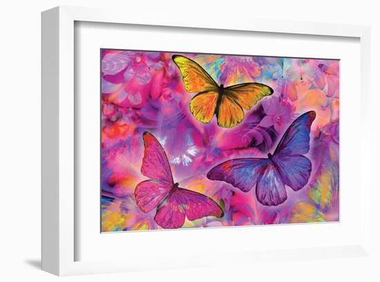 Rainbow Orchid Morpheus-Alixandra Mullins-Framed Art Print