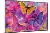 Rainbow Orchid Morpheus-Alixandra Mullins-Mounted Art Print
