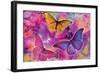 Rainbow Orchid Morpheus-Alixandra Mullins-Framed Art Print