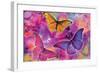 Rainbow Orchid Morpheus-Alixandra Mullins-Framed Art Print