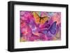 Rainbow Orchid Morpheus-Alixandra Mullins-Framed Art Print