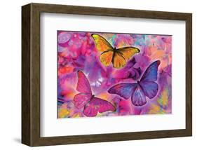 Rainbow Orchid Morpheus-Alixandra Mullins-Framed Art Print