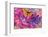 Rainbow Orchid Morpheus-Alixandra Mullins-Framed Art Print