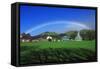 Rainbow over a Green Field-null-Framed Stretched Canvas
