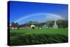 Rainbow over a Green Field-null-Stretched Canvas