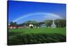 Rainbow over a Green Field-null-Stretched Canvas