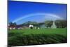Rainbow over a Green Field-null-Mounted Photographic Print