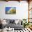 Rainbow over Aspens, Grand Teton National Park, Wyoming-Art Wolfe-Framed Stretched Canvas displayed on a wall