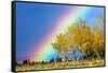 Rainbow over Aspens, Grand Teton National Park, Wyoming-Art Wolfe-Framed Stretched Canvas