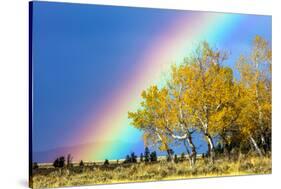 Rainbow over Aspens, Grand Teton National Park, Wyoming-Art Wolfe-Stretched Canvas