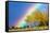 Rainbow over Aspens, Grand Teton National Park, Wyoming-Art Wolfe-Framed Stretched Canvas
