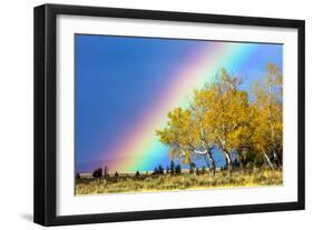 Rainbow over Aspens, Grand Teton National Park, Wyoming-Art Wolfe-Framed Photographic Print