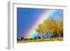 Rainbow over Aspens, Grand Teton National Park, Wyoming-Art Wolfe-Framed Photographic Print