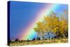 Rainbow over Aspens, Grand Teton National Park, Wyoming-Art Wolfe-Stretched Canvas