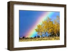 Rainbow over Aspens, Grand Teton National Park, Wyoming-Art Wolfe-Framed Photographic Print