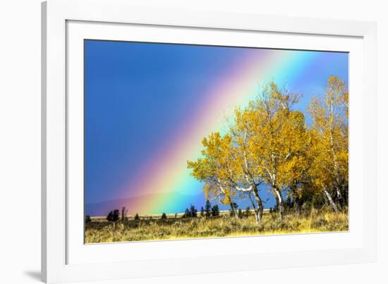 Rainbow over Aspens, Grand Teton National Park, Wyoming-Art Wolfe-Framed Photographic Print