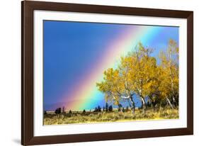 Rainbow over Aspens, Grand Teton National Park, Wyoming-Art Wolfe-Framed Photographic Print