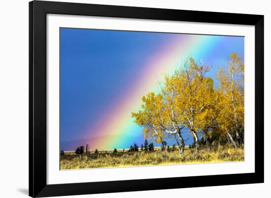 Rainbow over Aspens, Grand Teton National Park, Wyoming-Art Wolfe-Framed Photographic Print