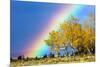 Rainbow over Aspens, Grand Teton National Park, Wyoming-Art Wolfe-Mounted Photographic Print