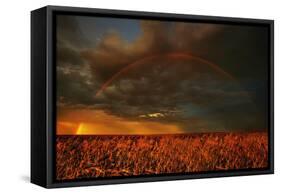 Rainbow over Field, Storm-null-Framed Stretched Canvas