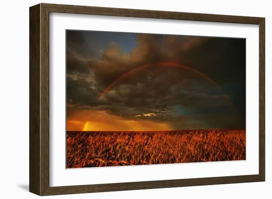 Rainbow over Field, Storm-null-Framed Photographic Print