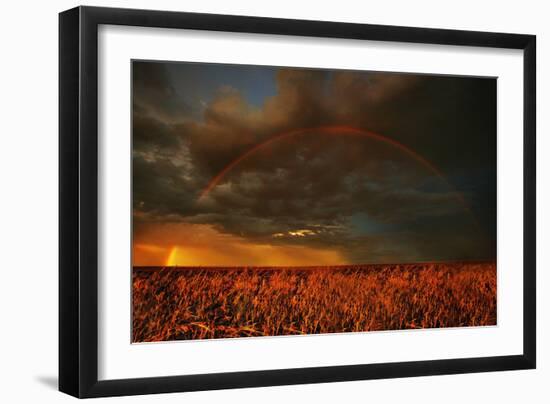 Rainbow over Field, Storm-null-Framed Photographic Print