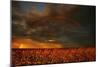 Rainbow over Field, Storm-null-Mounted Photographic Print