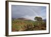 Rainbow over Forest of Scots Pine (Pinus Sylvestris) Trees, Glen Affric, Scotland, UK-Peter Cairns-Framed Photographic Print