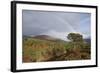 Rainbow over Forest of Scots Pine (Pinus Sylvestris) Trees, Glen Affric, Scotland, UK-Peter Cairns-Framed Photographic Print