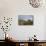 Rainbow over Forest of Scots Pine (Pinus Sylvestris) Trees, Glen Affric, Scotland, UK-Peter Cairns-Mounted Photographic Print displayed on a wall