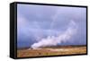 Rainbow over Geothermal Vent in Iceland-Paul Souders-Framed Stretched Canvas