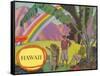 Rainbow over Hawaii-null-Framed Stretched Canvas