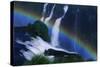 Rainbow over Iguazu Falls-W. Perry Conway-Stretched Canvas