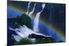 Rainbow over Iguazu Falls-W. Perry Conway-Mounted Photographic Print